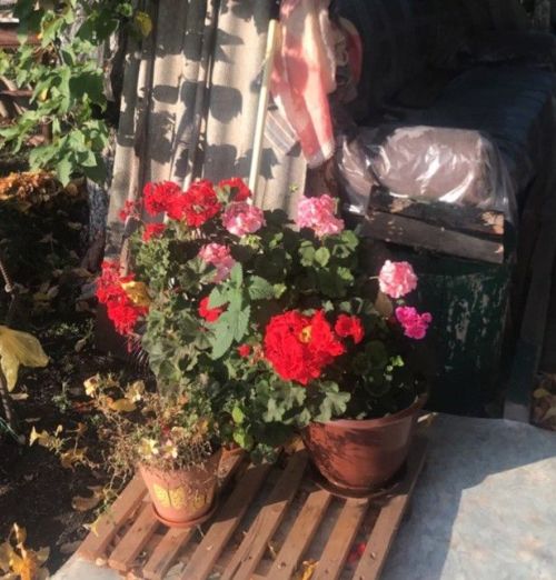 Скоро весна, а значит предстоит большая работа в саду и огороде