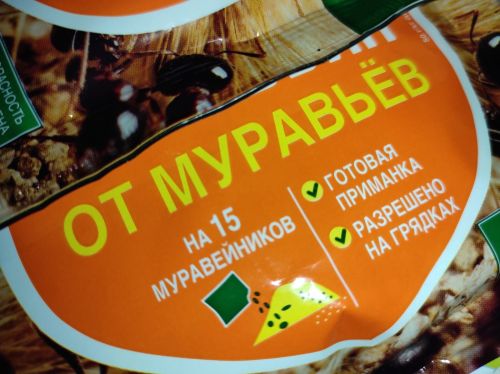Полезные советы: как бороться с муравьями
