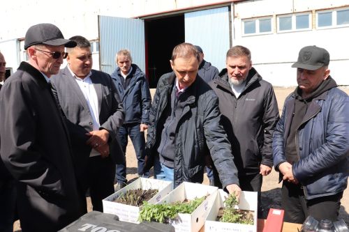 Азнакайда терлек азыгы әзерләү техникасын тикшерделәр