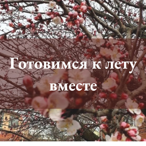 Май – месяц, в течение которого еще можно успеть подготовиться к лету
