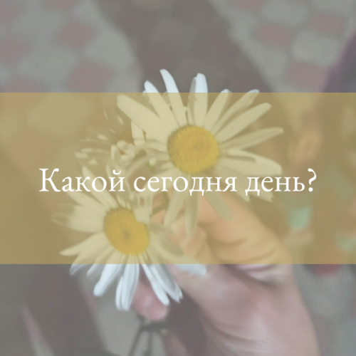 Какой сегодня день?