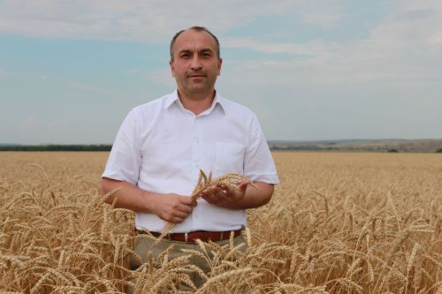 Уважаемый Марсель Зуфарович!