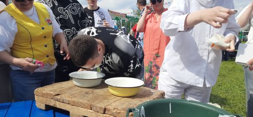 Азнакай Сабан туенда утын да ярдылар