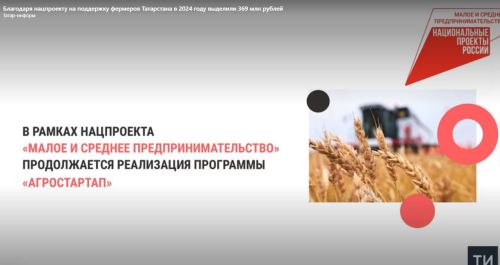 Благодаря нацпроекту на поддержку фермеров Татарстана в 2024 году выделили 369 млн рублей