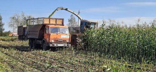 В Азнакаевском районе продолжаются осенние полевые работы