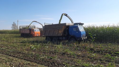 В Азнакаевском районе продолжаются осенние полевые работы