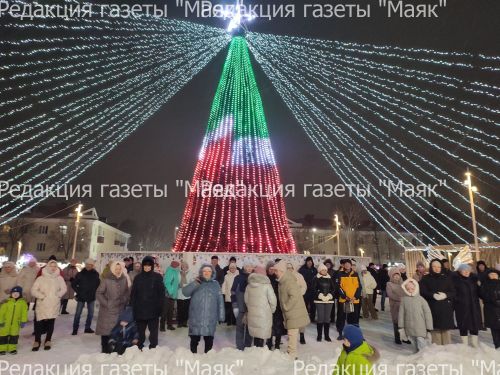 В Азнакаево отметили Старый Новый год