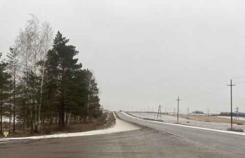 Неделя в Татарстане начнется с перепадов температур и мокрого снега