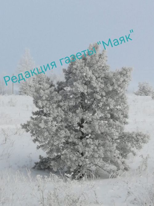 Рождественский сочельник: преддверие чуда