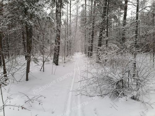 Прогулки нормализуют артериальное давление