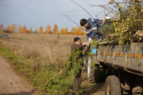 Приведем в порядок наши кладбища