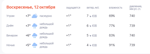 Идеальный день для дома и чая
