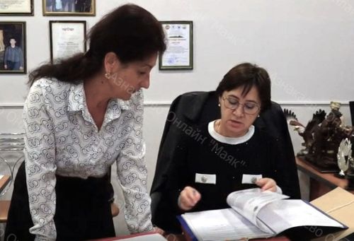 Работу гимназии оценили представители надзорных органов