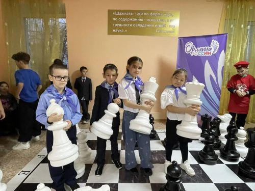 Межрайонный шахматный турнир «Шахматный взлёт: Орлята России»