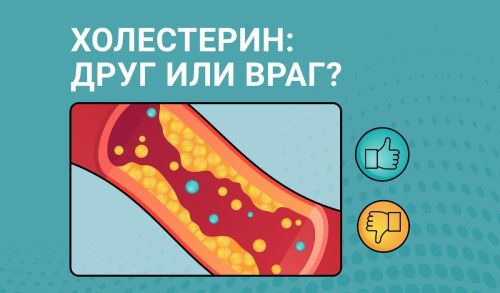 Холестерин: незаменимый помощник или скрытая угроза?