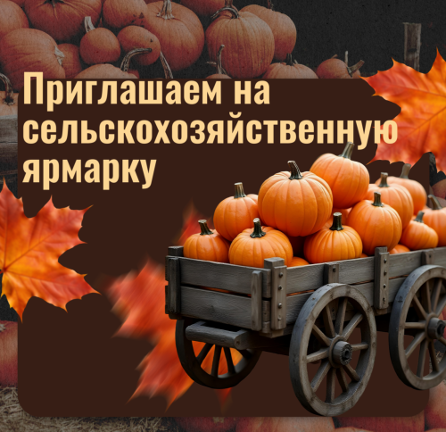 Иртәгә Азнакайда бәйрәм ярминкәсе уздырыла