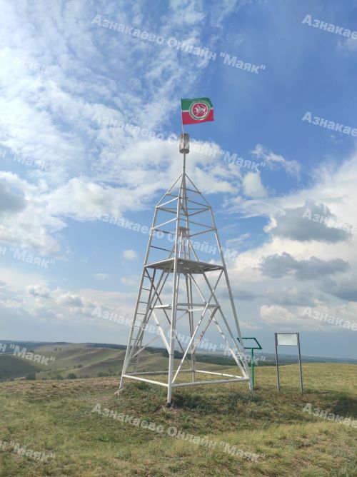 Редкие грибы обнаружены в Азнакаевском районе