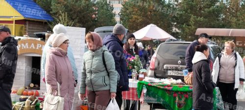В Азнакаево прошла сельскохозяйственная ярмарка, посвященная Международному дню учителя