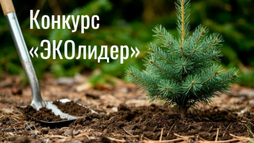 «ЭКОлидер» бәйгесенә гаризалар кабул итү 1 декабрьгә кадәр озайтылган