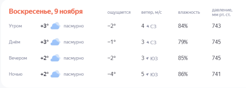 Серое воскресенье: осень окончательно сдает позиции зиме