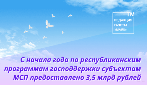 С начала года по республиканским программам господдержки субъектам МСП предоставлено 3,5 млрд рублей