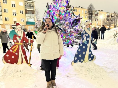 Новогодний праздник во дворе