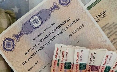 Более 1,5 тысяч сельских жительниц Татарстана получили выплаты на детей