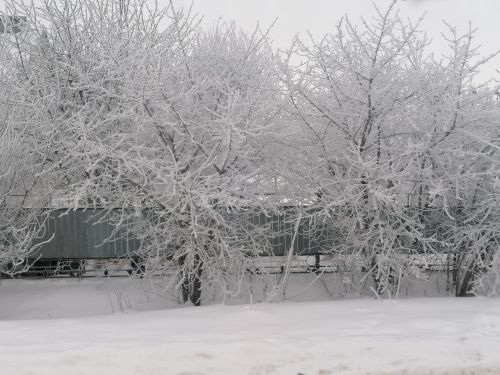 Снежно и морозно: погода в Татарстане 18 февраля