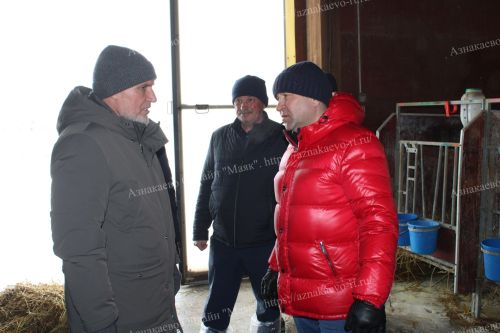 Азнакайга республиканың баш ветеринары килде