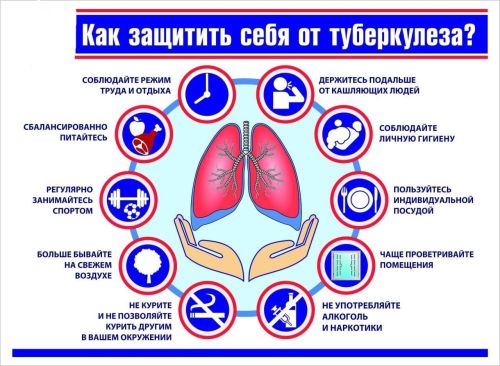 Туберкулёз: Симптомы, диагностика и меры предосторожности