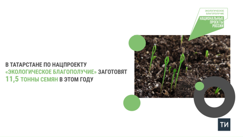 В Татарстане по нацпроекту заготовят 11,5 тонны семян в этом году