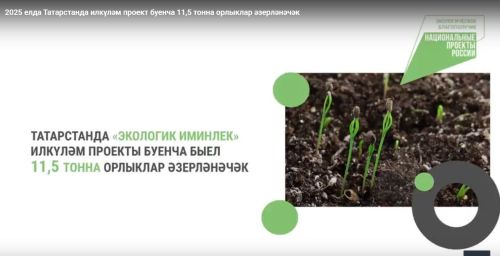 Татарстанда илкүләм проект буенча быел 11,5 тонна орлыклар әзерләнәчәк