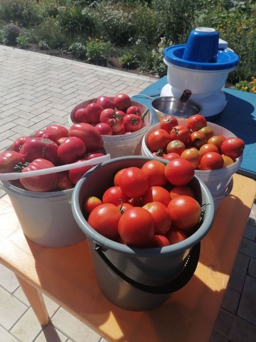 10 продуктов, которые могут помочь вашему телу хорошо пахнуть