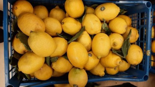 10 продуктов, которые могут помочь вашему телу хорошо пахнуть