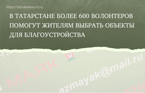 Более 600 волонтеров помогут жителям Татарстана проголосовать за благоустройство