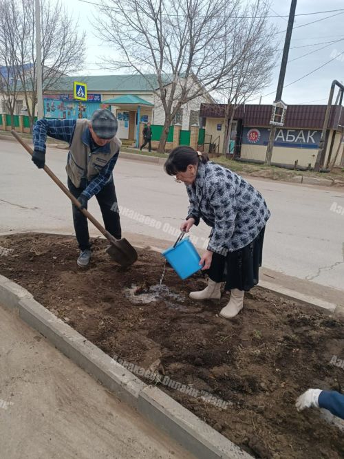 Ветераны – за чистоту нашего города