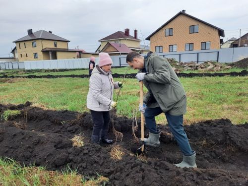 В Азнакаево в честь 80-летия Победы в Великой Отечественной войне высадили 80 лип