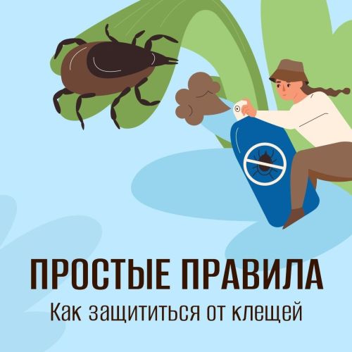 Внимание! Сезон клещей в самом разгаре!