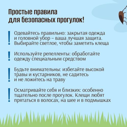 Внимание! Сезон клещей в самом разгаре!