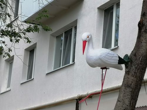 Создатель маленького курорта во дворе