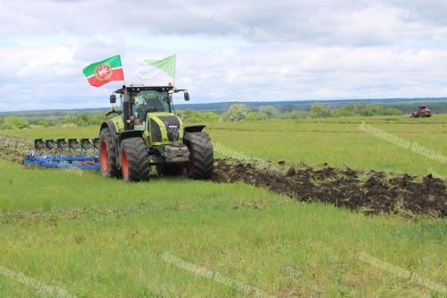 Азнакай районында Сабанчылар ярышы узды