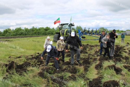 Азнакай районында Сабанчылар ярышы узды