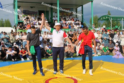 Азнакаевский борец Альберт Мамалимов в пятый раз стал абсолютным чемпионом Сабантуя