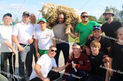 Азнакаевский борец Альберт Мамалимов в пятый раз стал абсолютным чемпионом Сабантуя