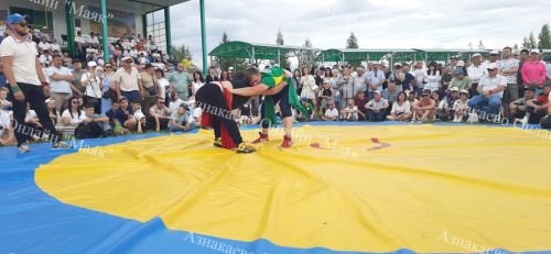 Азнакаевский борец Альберт Мамалимов в пятый раз стал абсолютным чемпионом Сабантуя
