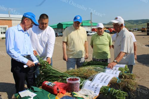 Азнакай районы хуҗалыкларында техниканың урып-җыюга әзерлеге тикшерелде