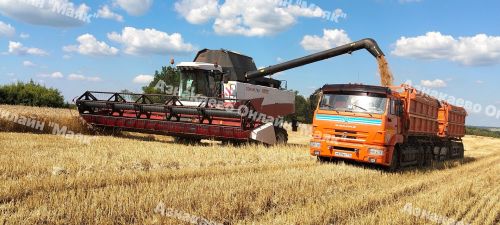 Азнакай районында урып-җыю эшләренә старт бирелде.