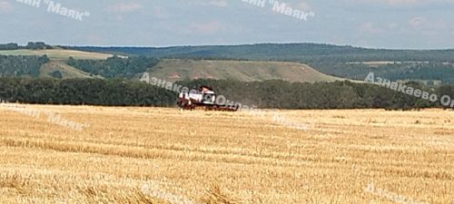 Азнакай районында урып-җыю эшләренә старт бирелде.