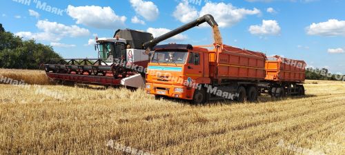 Азнакай районында урып-җыю эшләренә старт бирелде.
