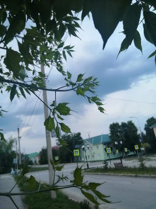 Июль в Татарстане не обещает жары: синоптики прогнозируют дожди и прохладу